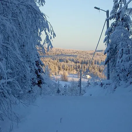 Puukarin Pysakki * Valtimo