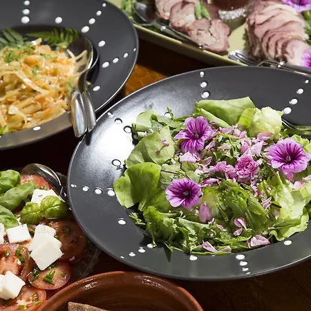 Puukarin Pysakki * Valtimo