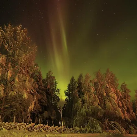 Puukarin Pysakki Bed & Breakfast Valtimo