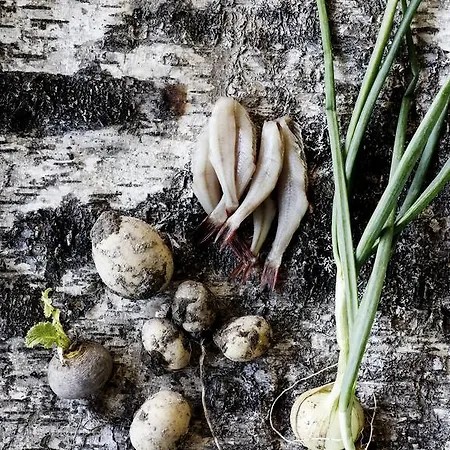 Puukarin Pysakki Bed & Breakfast Valtimo