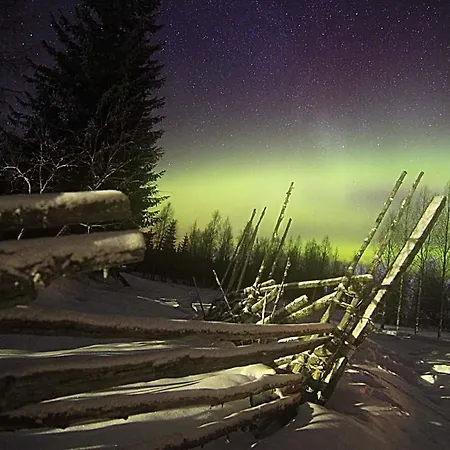 Bed & Breakfast Puukarin Pysakki