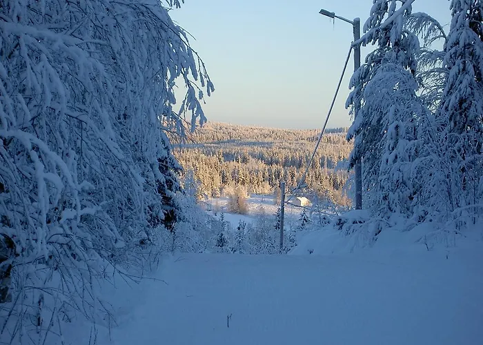 Puukarin Pysakki * Valtimo