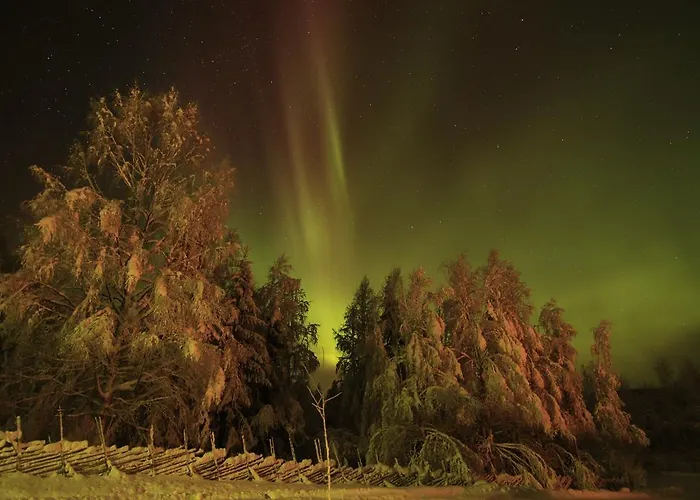 Puukarin Pysakki Bed & Breakfast Valtimo