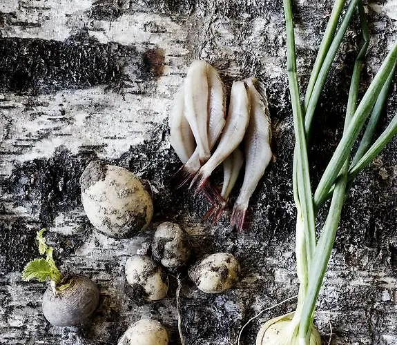 Puukarin Pysakki Bed & Breakfast Valtimo