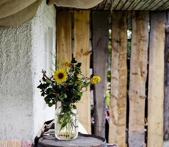 Bed & Breakfast Puukarin Pysakki Valtimo