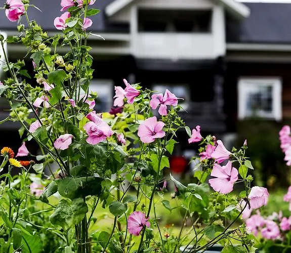 Bed & Breakfast Puukarin Pysakki *