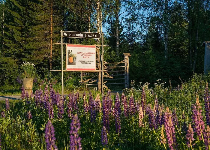 Puukarin Pysakki Bed & Breakfast Valtimo