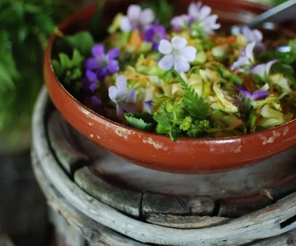 Puukarin Pysakki Bed & Breakfast